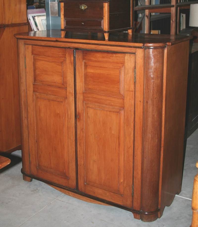 A Yellowwood and Stinkwood cabinet 